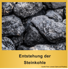 Quelle Foto: Łukasz Dyłka auf Pixabay  Entstehung der  Steinkohle